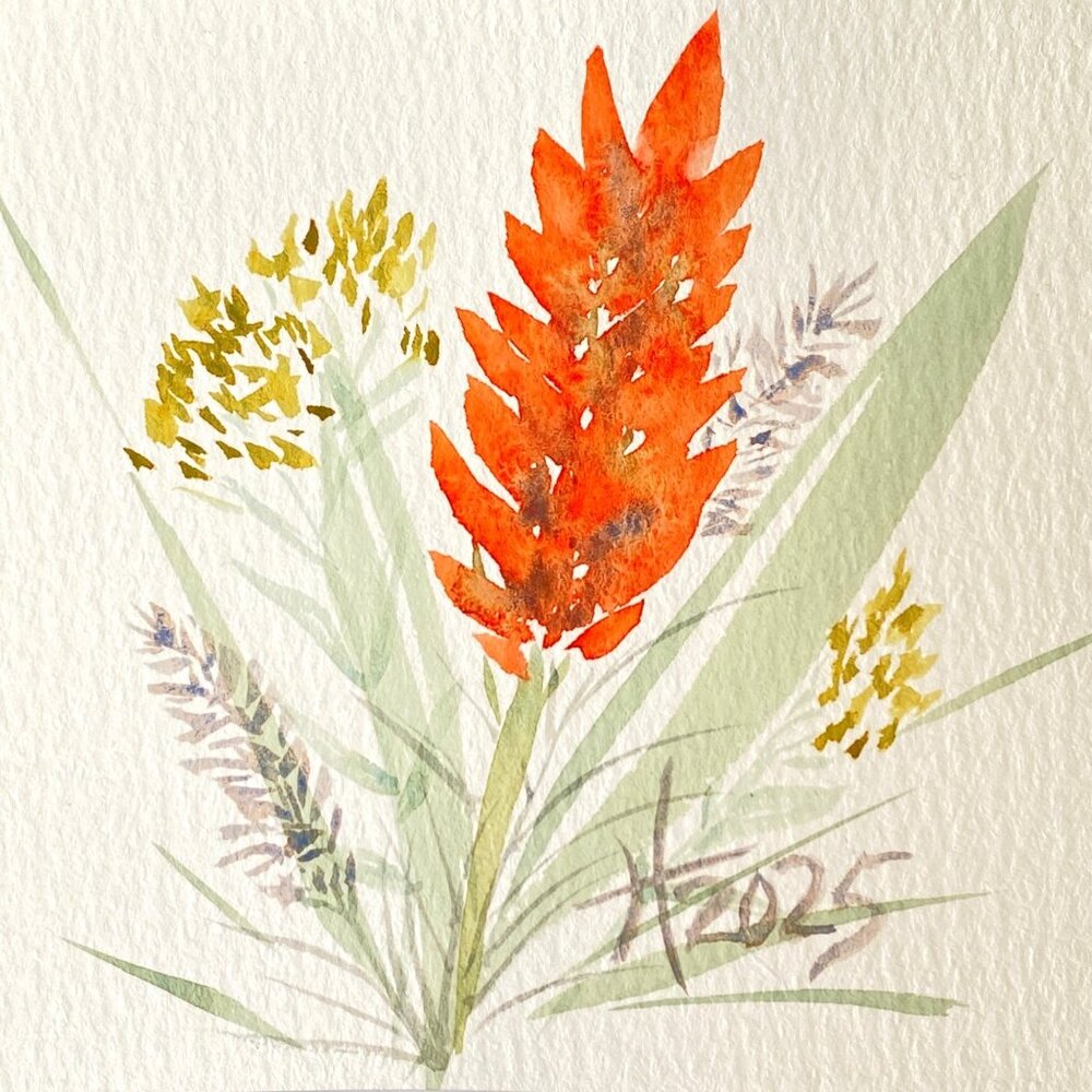Wildflowers 6 Original Watercolor Painting White Mat 8x8in Frame Ready
